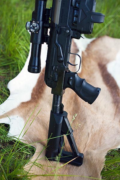 Lynx