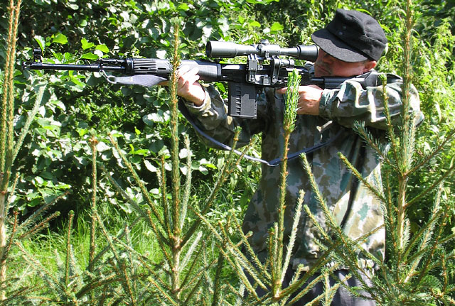 Dietmar's Tiger