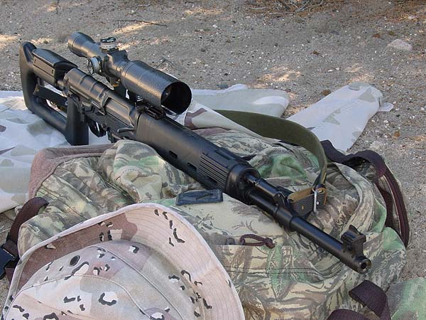 Hilljack's Tiger