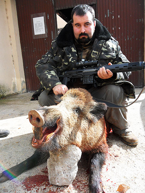 boar hunt spain