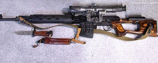 Alfajim's Tiger